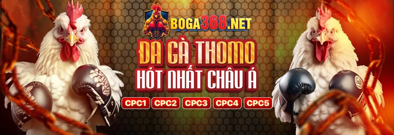Đa dạng trò chơi cá cược trong ứng dụng 13win